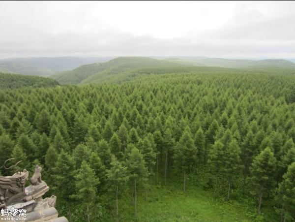 Mulan Weichang forest and grassland