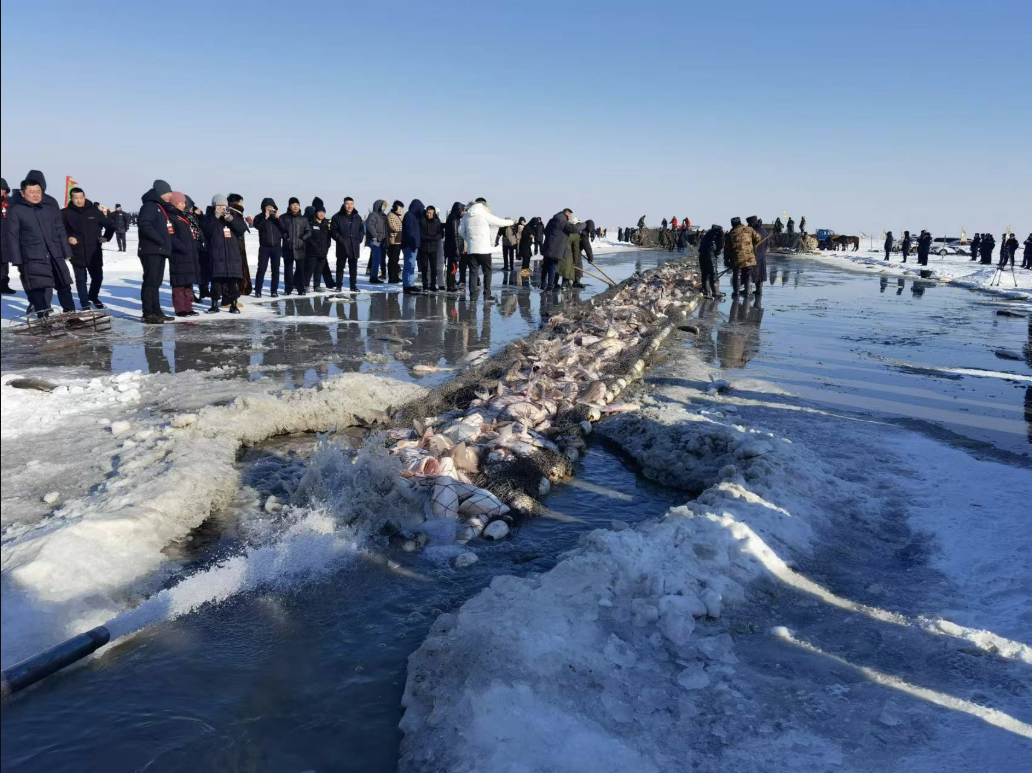 Chagan Lake winter fishing