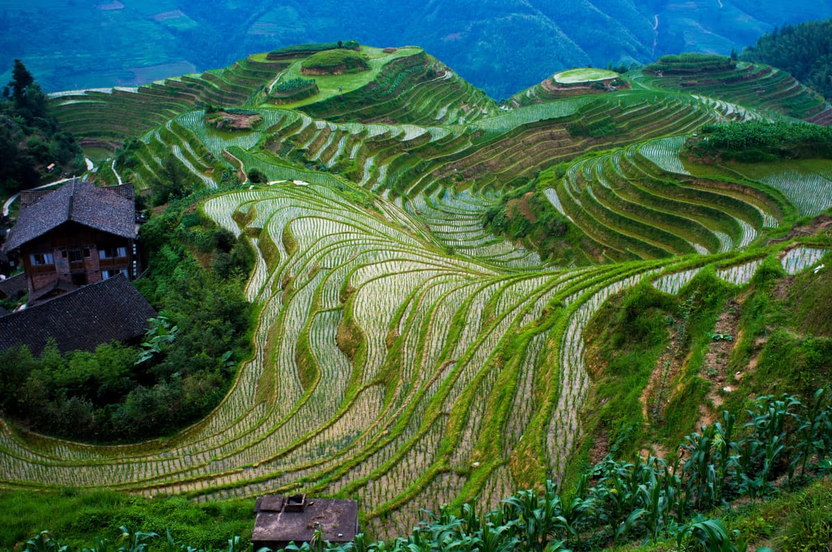 Longji Rice Terraces, Guangxi