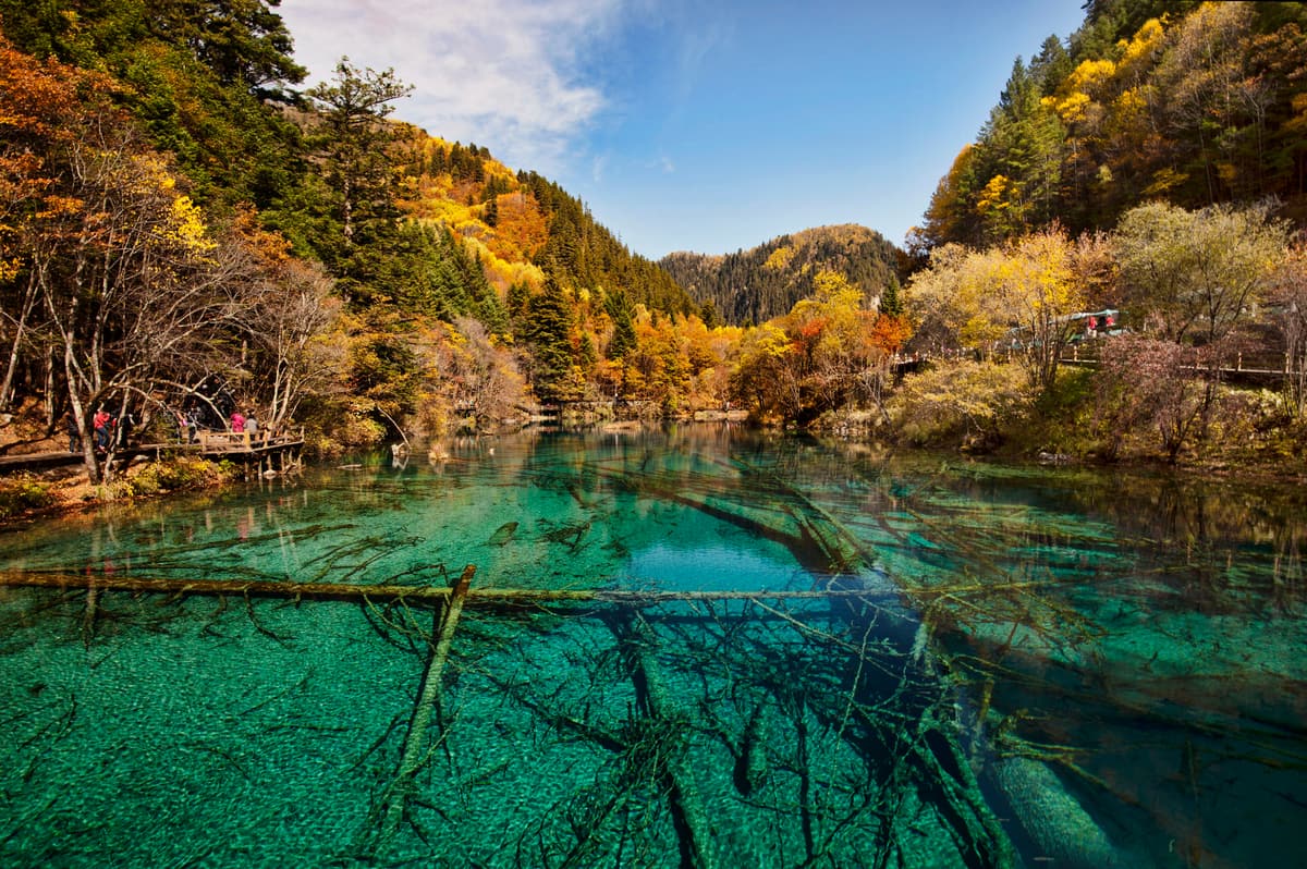 Jiuzhaigou Valley lakes and forests