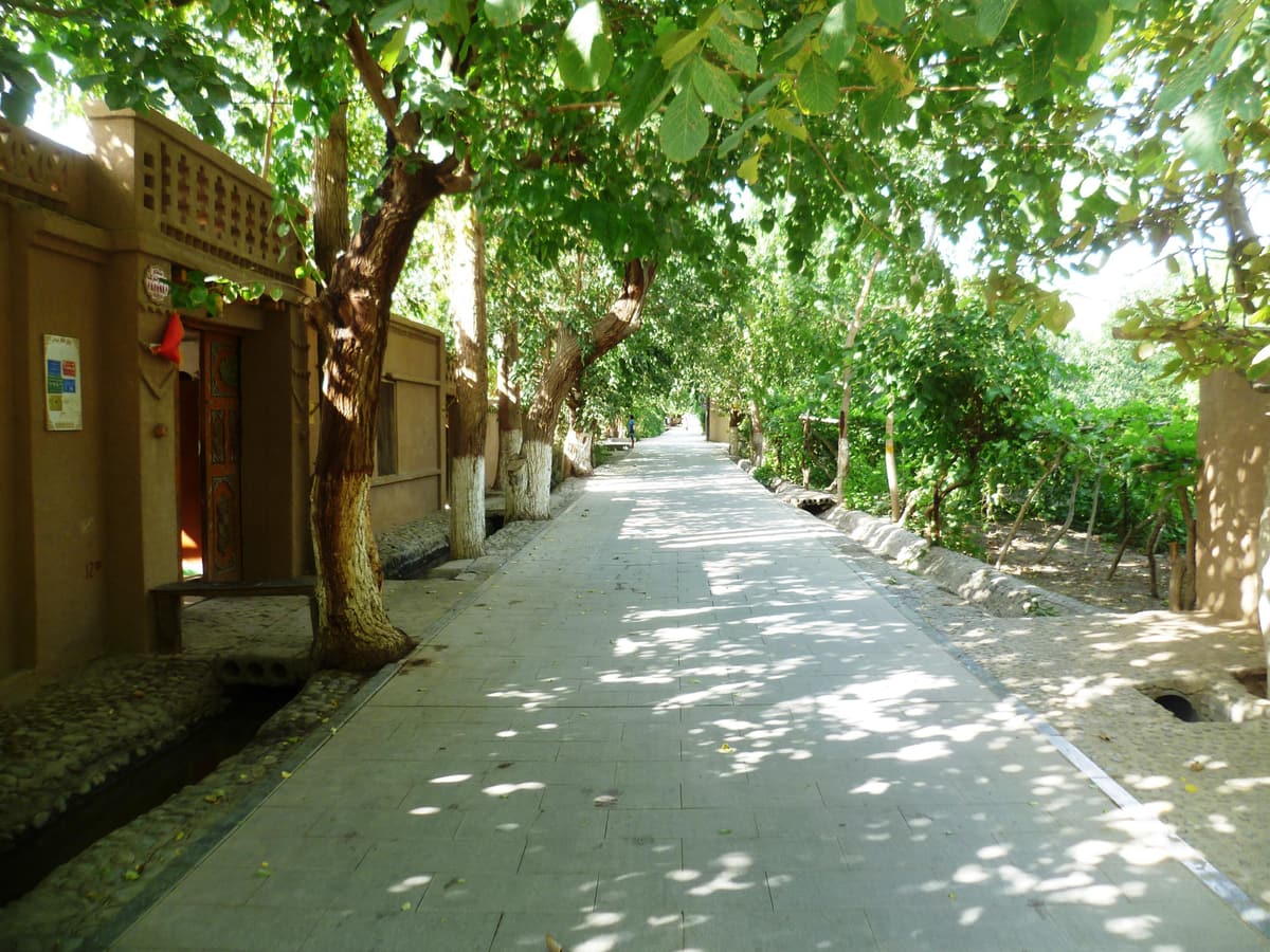 Turpan oasis vineyards