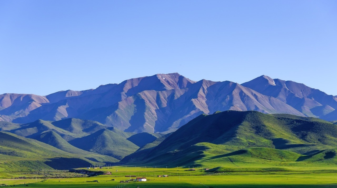 Qilian grassland and snow peaks
