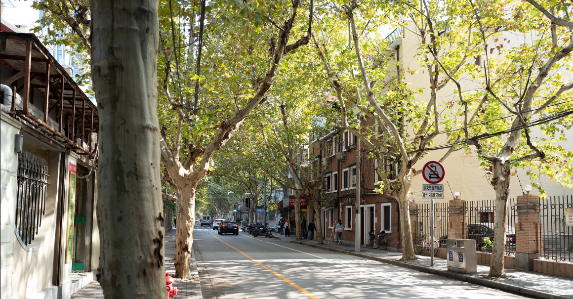 Former French Concession, Shanghai