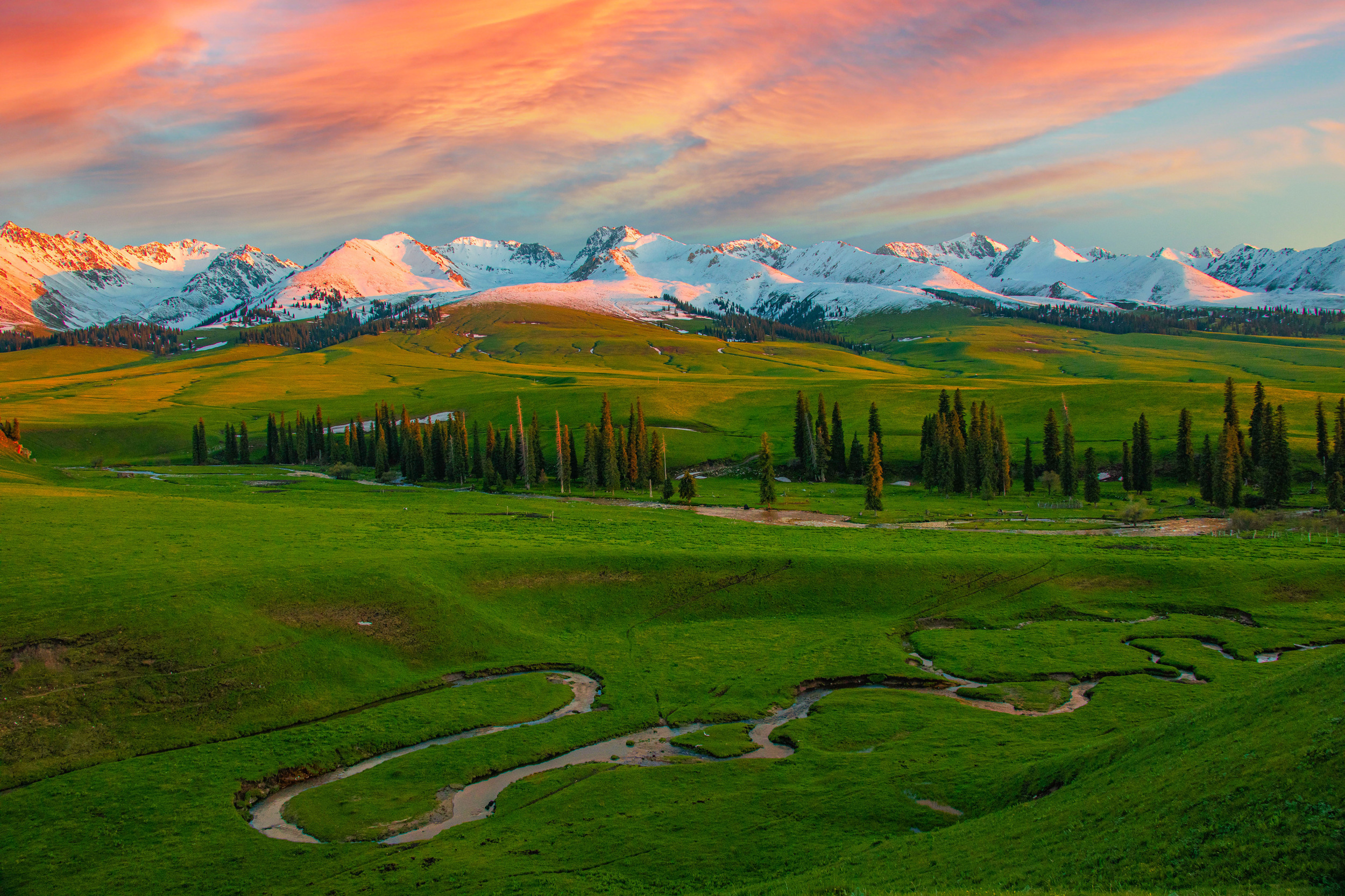Ili grassland journey