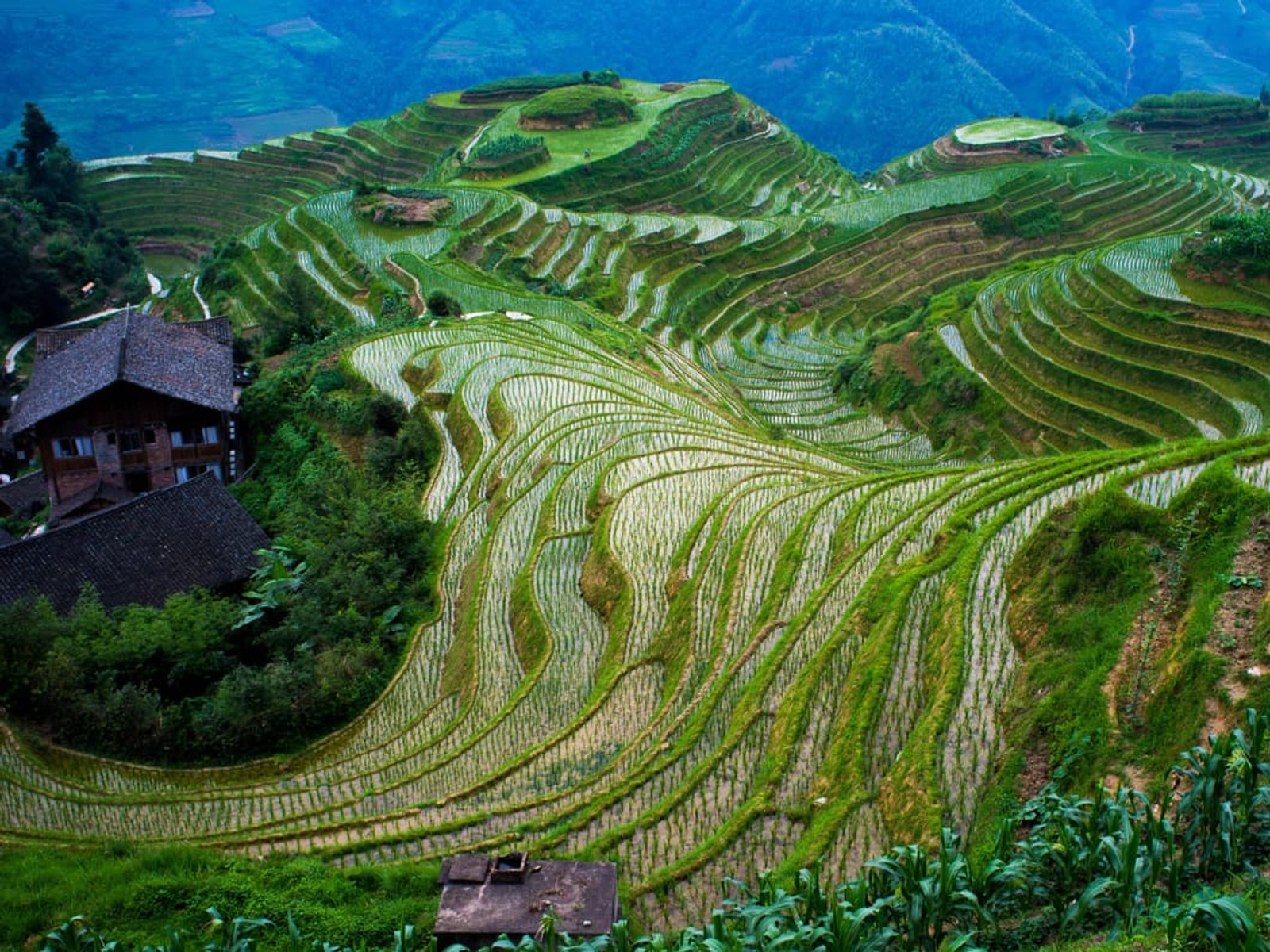 Beijing — Hangzhou · 21 days